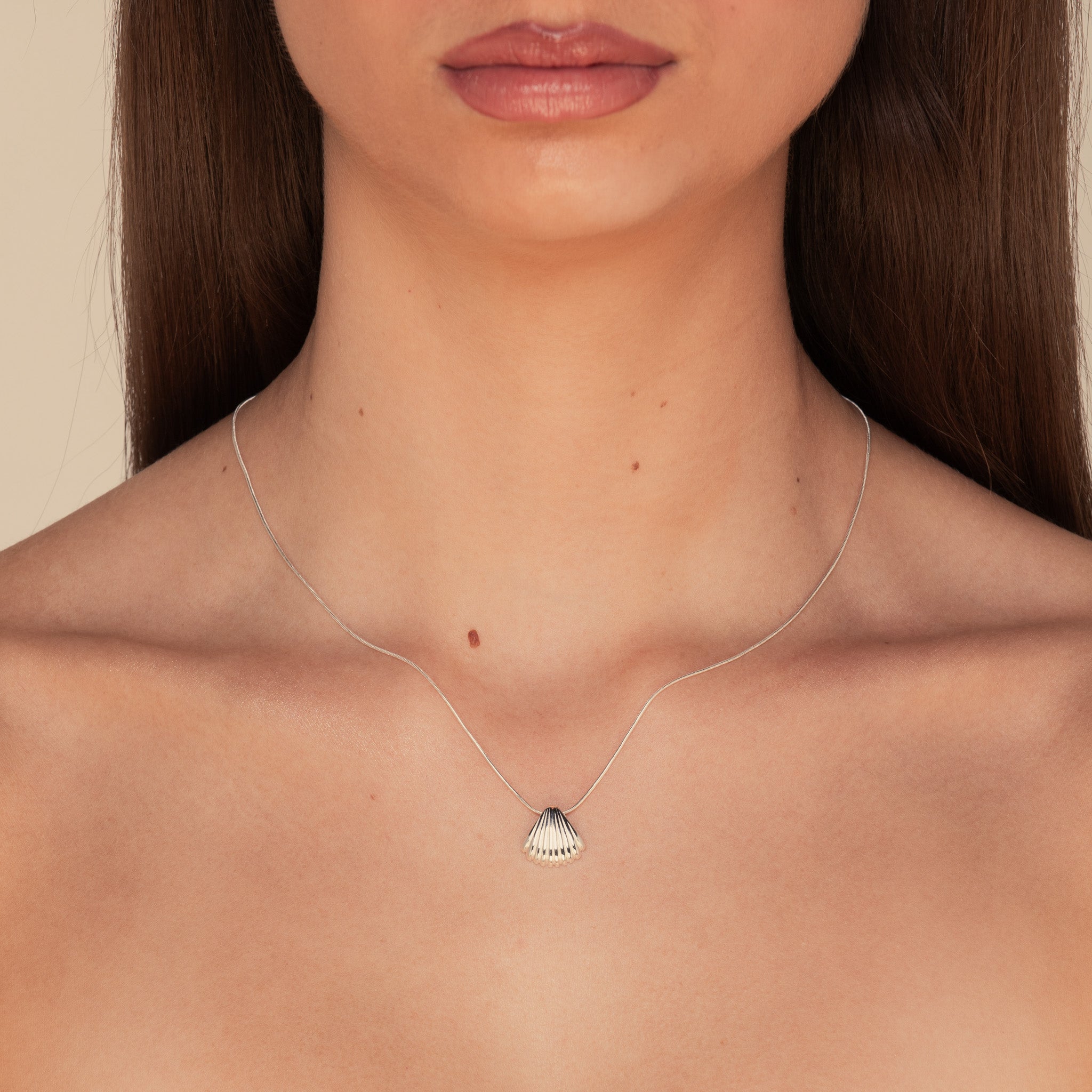 Shell Necklace Silver