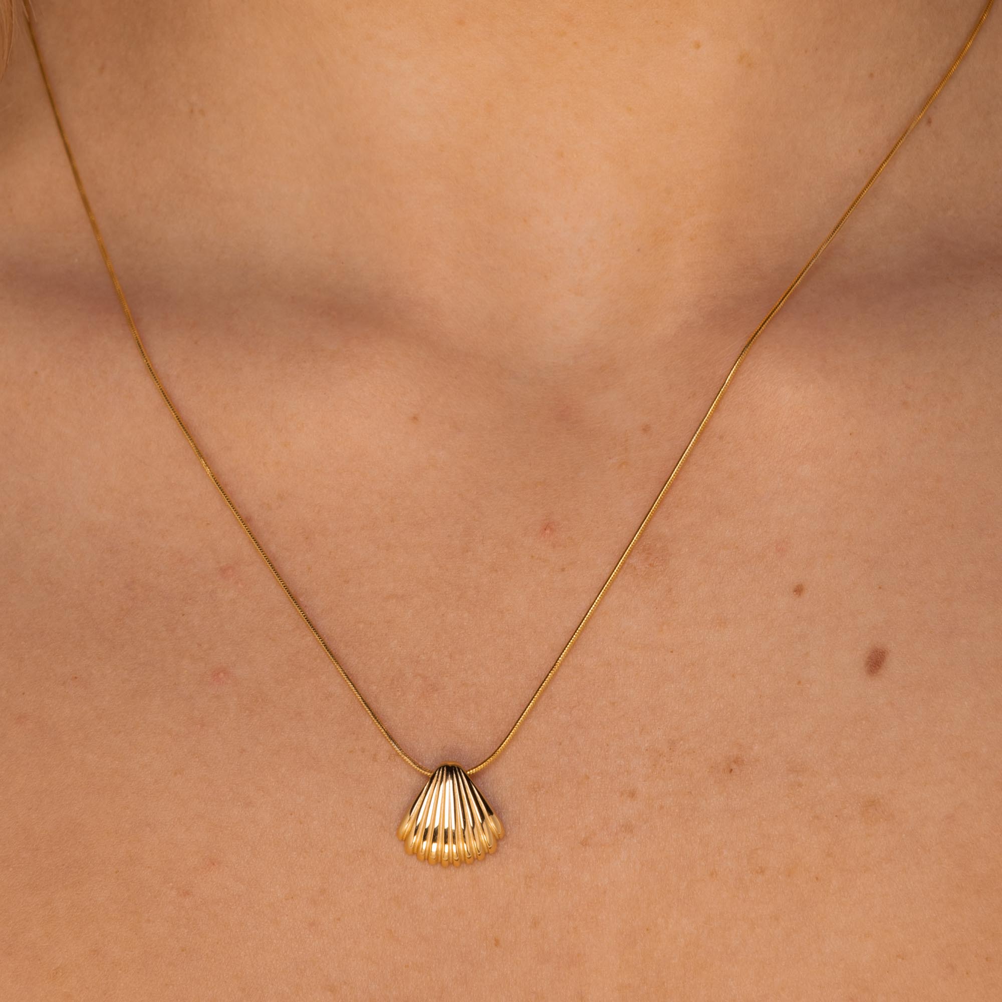 Shell Necklace Gold