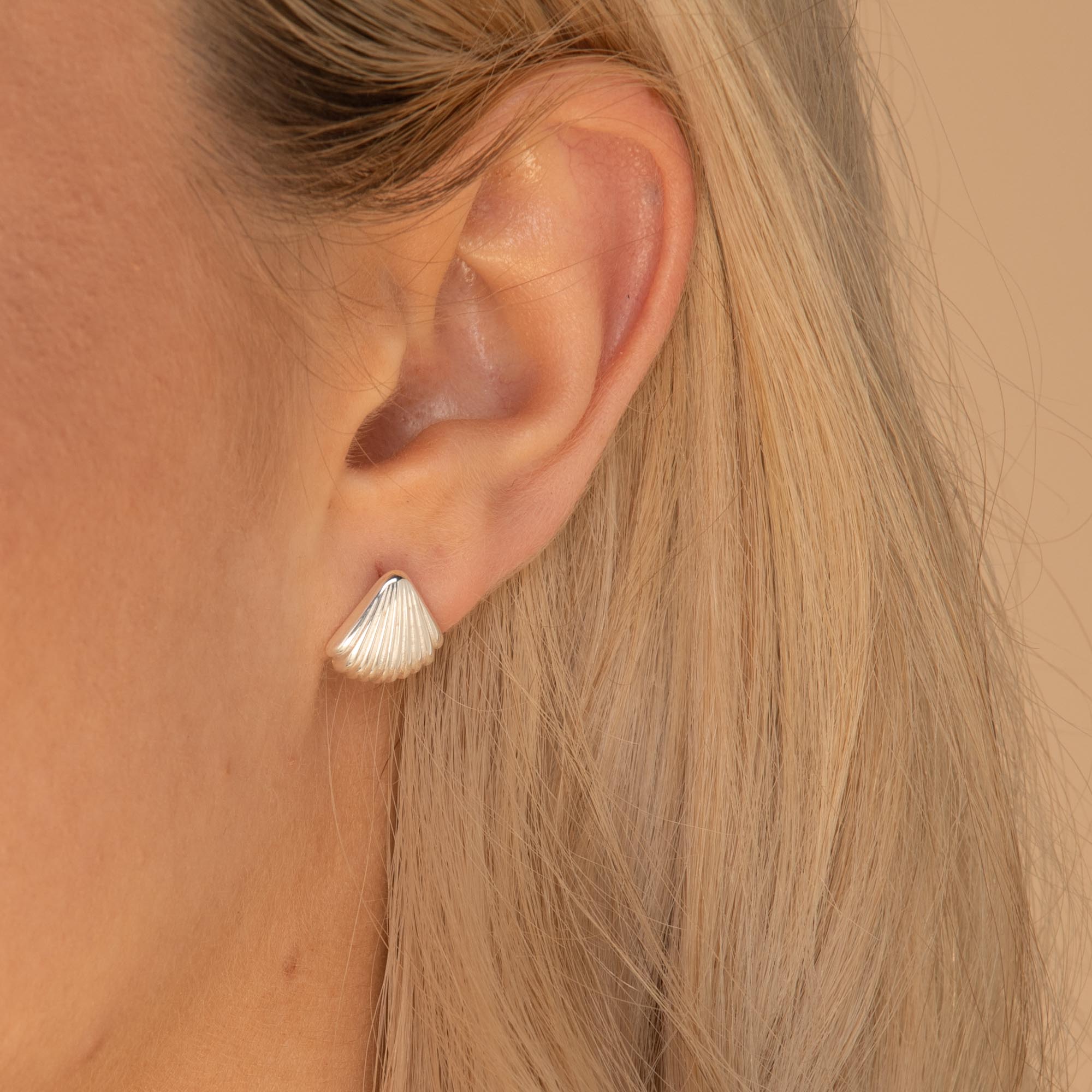 Shell Earrings Silver